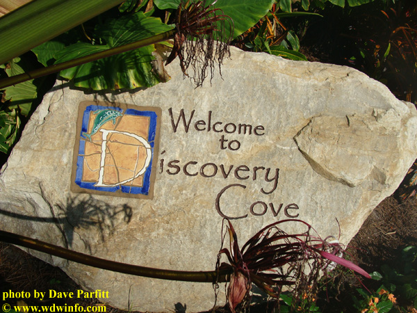 A Day In Paradise: Discovery Cove