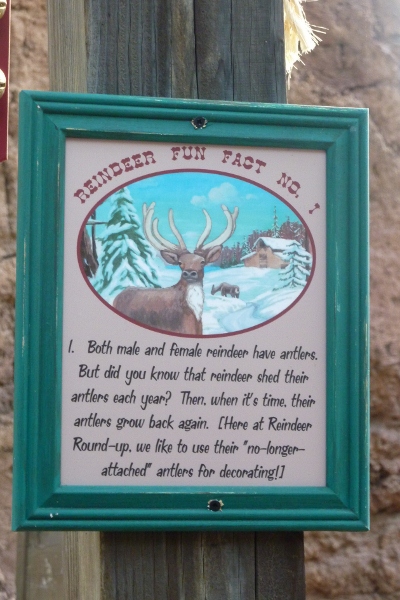 DL – Reindeer Fact sign 1
