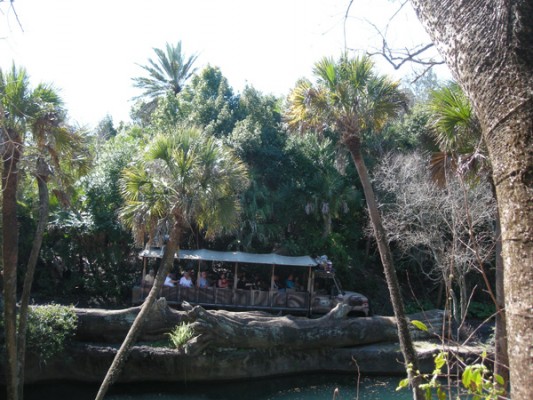 Wild Africa Trek at Animal Kingdom at Walt Disney World : The DIS