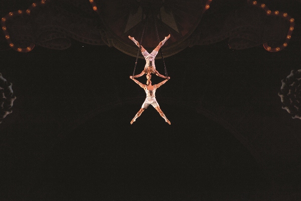 Cirque Iris AerialStraps-034 (600×400)