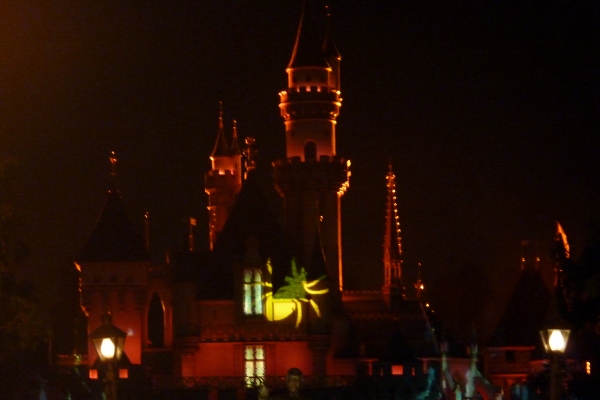 DL Halloween Party Spider castle projections